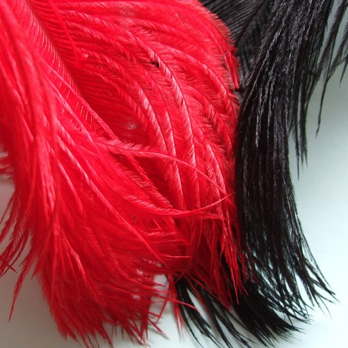 Ostrich feathers herl fly - feathers,, herl,