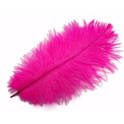 Ostrich feathers hot pink - -,