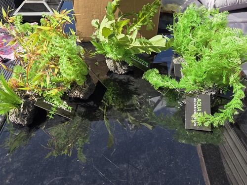 Artificial aquarium decor - aquarium, 7