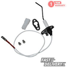 Biasi Advance BI1503108 Detection Electrode