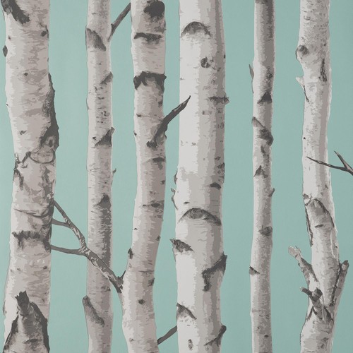 Fine decor birch trees - birch, duck