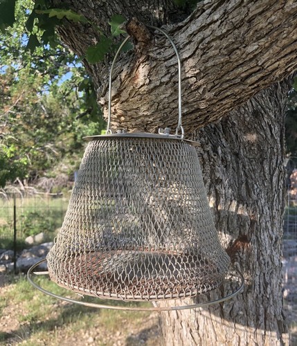 Vintage collapsible wire - vintage, mesh