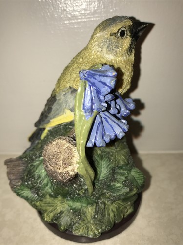 Country bird collection - country, the