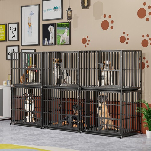 Xxl large stackable dog - xxl,