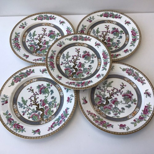 Wedgwood indian tree - &,