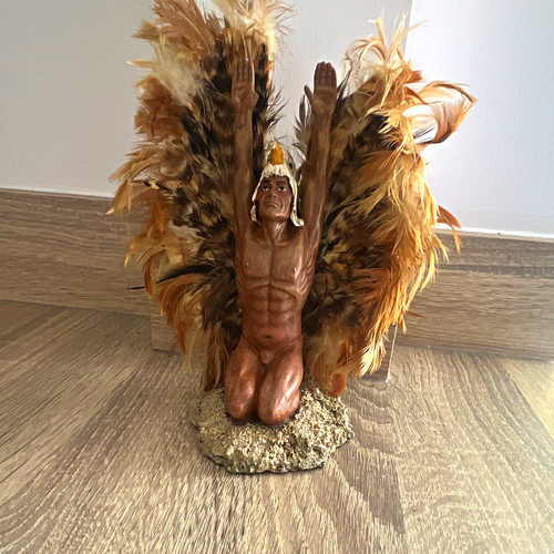 Native american man - american,