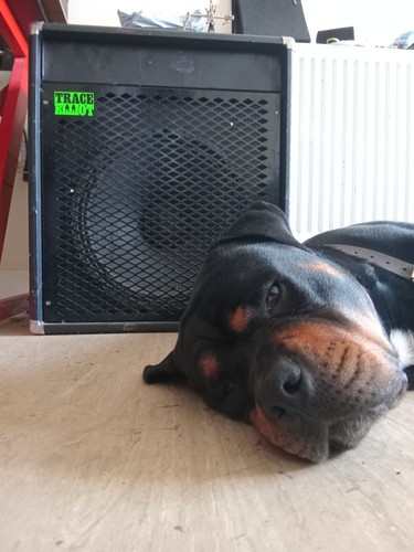 Trace elliot speaker - elliot, 15"