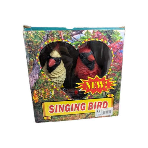 Singing cardinal birds motion - singing,