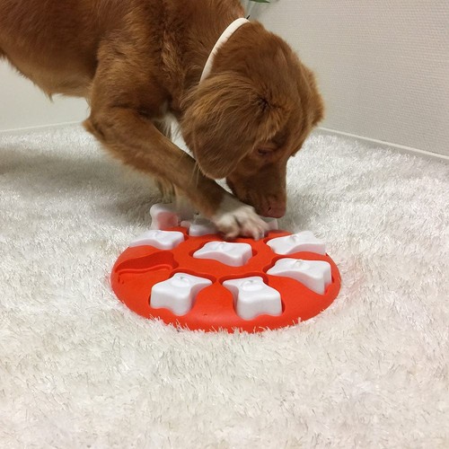 Nina ottosson dog - dog, org