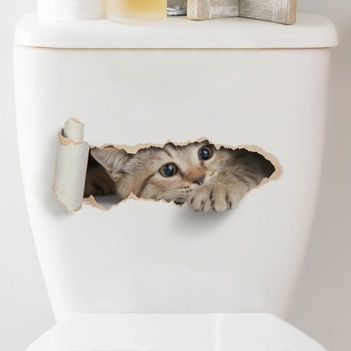 Peeping kitten toilet - kitten,