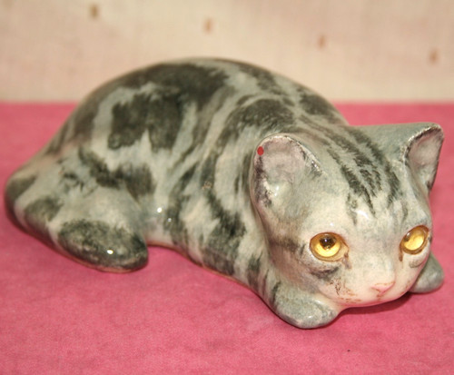 Winstanley tabby cat - tabby, cat,