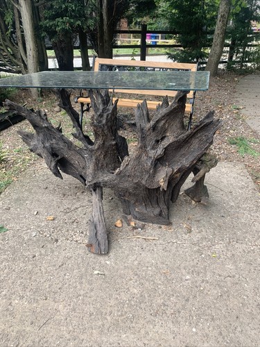 Tree root dining - tree,