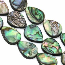 Green Abalone Shell Mother of