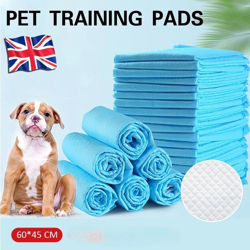 100 200x large puppy - 50/100/200x,