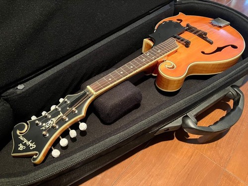 Epiphone 50e electric - epiphone, mm-50e