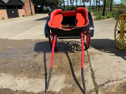 Horse cart - horse,