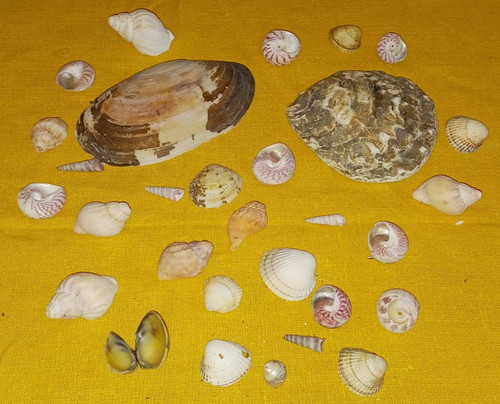 Small bag mixed sea - small,