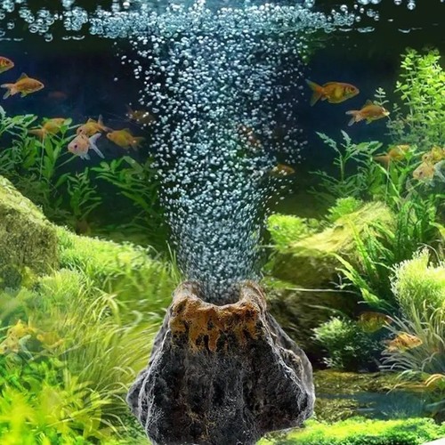 Aquarium oxygen pump air - aquarium,