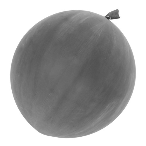 Professional weather balloon - professional,