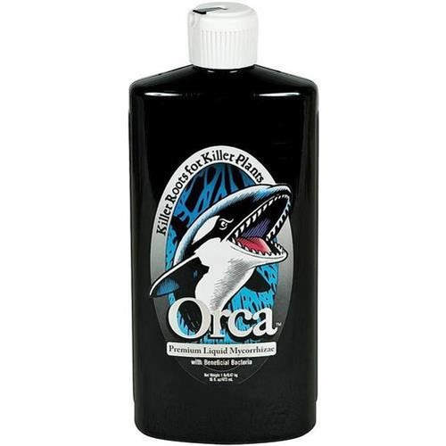 Plant success orca - success,