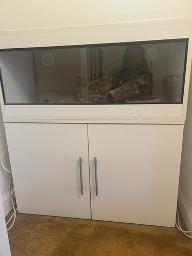 White wooden vivarium tank - wooden,