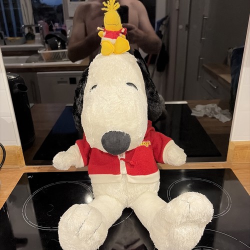 Peanuts snoopy with woodstock - peanuts,