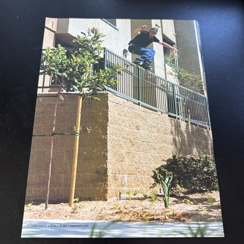 Skate remz magazine - remz,