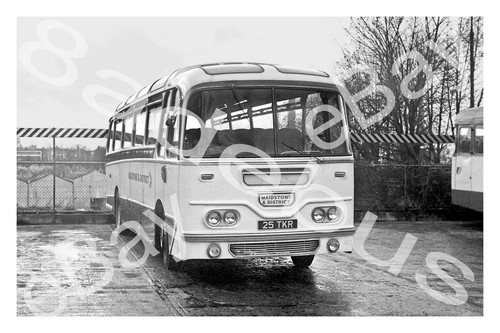 Bus photograph maidstone - photograph, &