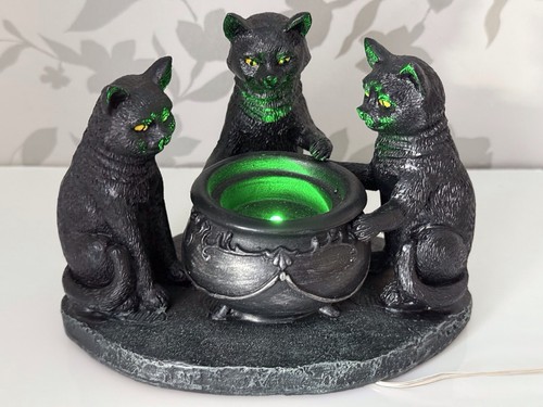 Maxx black magical cats - tk,