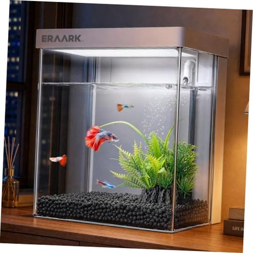 Small fish tank - fish, kit