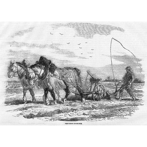 Horses ploughing france - ploughing,