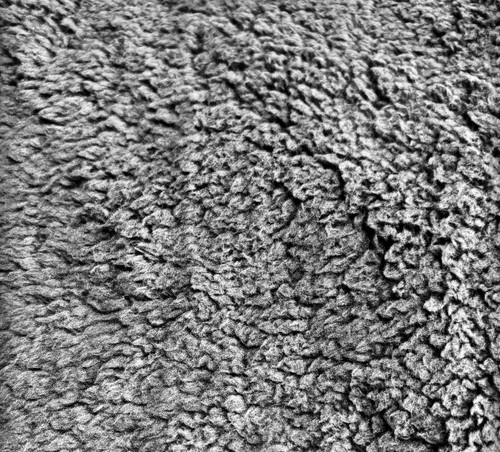 Grey teddy fleece fabric - teddy,