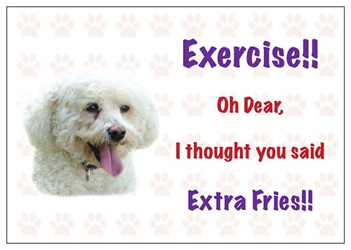 Funny bichon frise dog - dog, vinyl