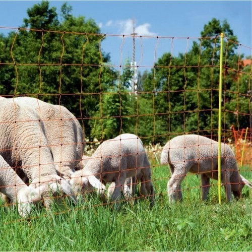 Electric sheep netting 50m - netting,