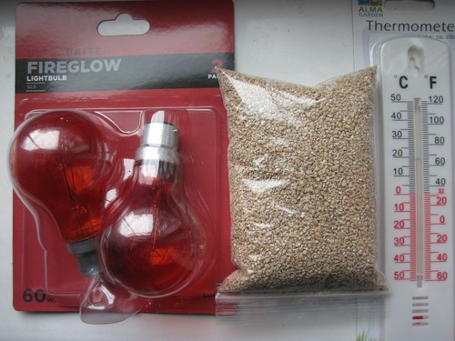 Brooder kit chicken quails - brooder,