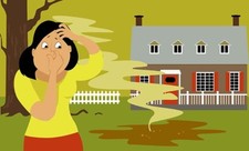 Sewage treatment plant