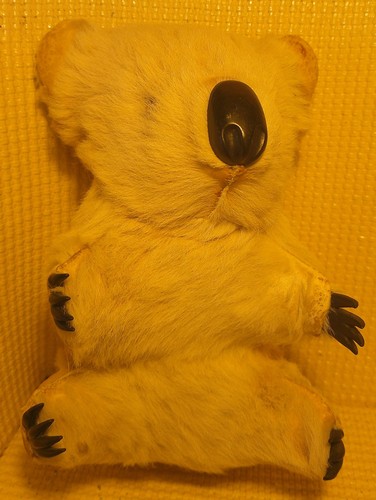 Vintage white koala bear fur - koala,