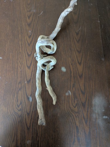 Interesting piece of - an,