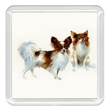 Papillon Dogs Dog Acrylic