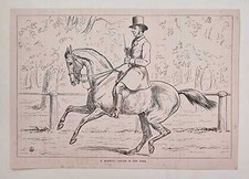 SIDNEY A Morning Canter in the