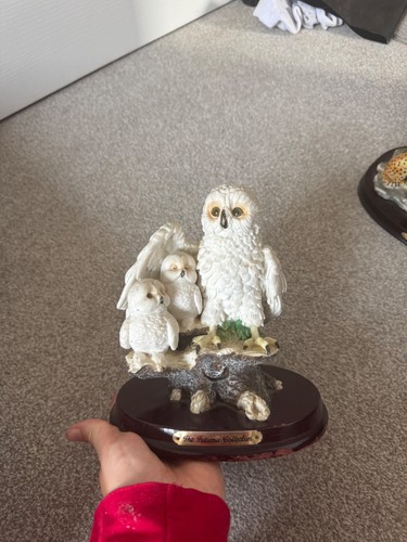 The juliana collection owl - the,