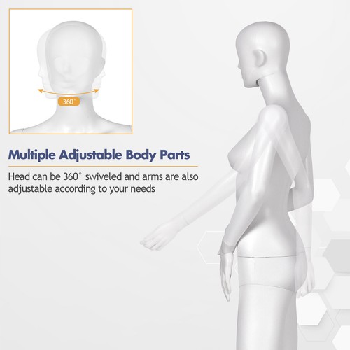 Full body mannequin torso - full,