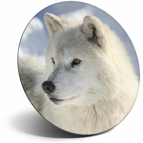 Awesome fridge magnet white - fridge,