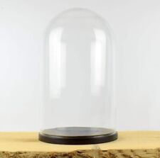 Large Handmade Mouth Blown Glass Dome with Black Wooden Base 50 x 25 cm