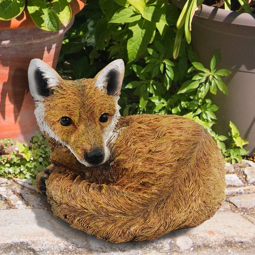 Curled fox garden - up,