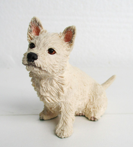 Pups galore westie - galore,