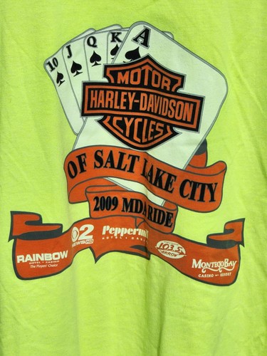 Harley davidson shirt salt - t-shirt,
