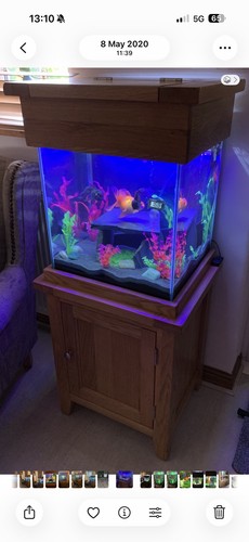 Aqua oak aquarium cabinet - aquarium, &