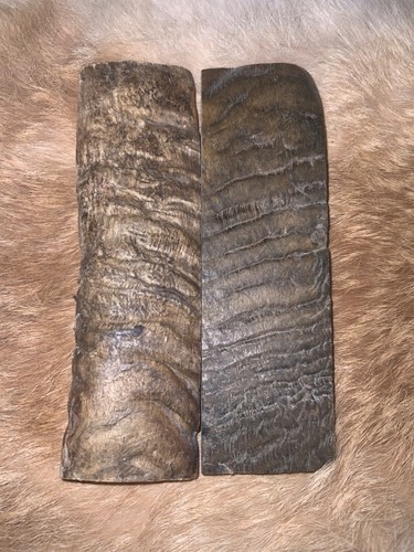 Rams horn knife handle - rams,