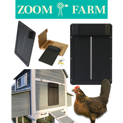 Automatic chicken coop - chicken, door